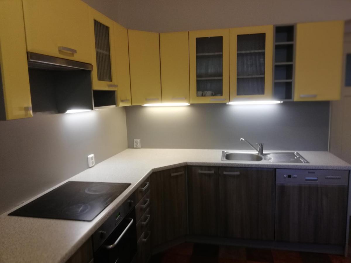 Apartment 70M2 Karlovy Vary Kültér fotó